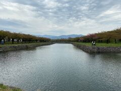 五稜郭公園
桜は散ったばかりのようで、枝に赤いガクがビッシリ付いて赤くなってる
五稜郭タワーは登らず、散歩
桜の木や公園の手入れがなされていて、遠くに山を望んで、気持ち良い
先週は桜満開だったんだろうな
