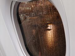 空港へ着くまで降ってなかった雨。
飛行機に乗って窓の外を見ると、激しく降ってる！