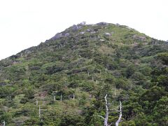 次の湿地帯「花之江河」（はなのえごう）からは黒味岳が見える。写真ではわからないが、頂上の大岩に登っている人が見えた。