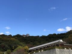城山公園です。
山の上に松山城が見えます。
あそこから降りてきたんだなあ。