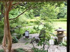 ☆松柏亭から眺める日本庭園～青紅葉と云うのでしょうか？枝ぶりが灯篭に接近中～

☆ちょろちょろと流れる水も、風流で御座いますなあ。。。