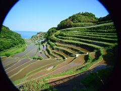 宿から送っていただく途中、有名な「浜野浦の棚田」に立ち寄っていただきました。
日本の棚田百選に選ばれているそうです。
夕日が沈む時間には水田に太陽が反射し、オレンジ色の世界となるらしい。