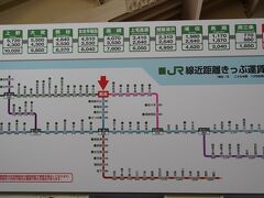 また歩いて新潟駅まで戻ってきました！

