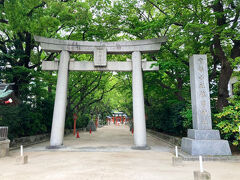 福岡市2日目
筑前国一宮 住吉神社へ参拝に行きました。
日本全国の一宮を巡拝していまして、九州は初となります。