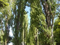 有名なポプラ並木があります(^_-)-☆。
都会の中のオアシス的な存在。