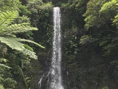 嘉入集落から少し山を上ると、嘉入の滝に到着。昔はノロが身を清める場所だったらしい。