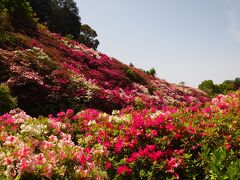 うわぁ～～、鮮やか！そして濃い！
修正していない、ありのままの色です。