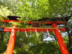 世界遺産「宇治上神社」は、森の手前、木々の中に佇んでいます。