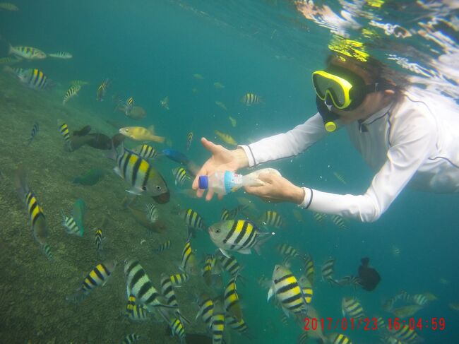 シュノーケリング最高！！