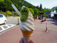 これが噂のわさびソフト。
ひとくち食べて、やっちまった感。
一本は食べる必要があるが、二本目はいらない（笑）
しかしこの山葵、刺し身につけて食べたらさぞ美味かっただろうな！（笑）