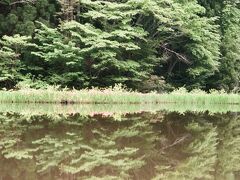 平池(カキツバタ群生地)