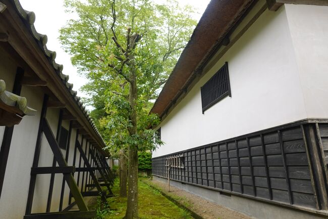 ☆新緑が美しい国指定名勝庭園☆ 2022年5月 東北三大地主 斎藤氏庭園(宮城)