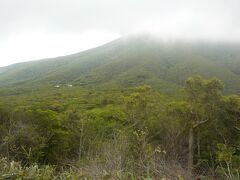 乙女峠より御山山頂に至る所です。左に白くエビネ公園事務所とトイレが見えます。）