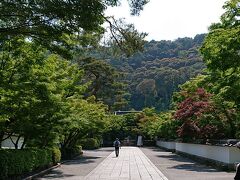 市バス、南禅寺・永観堂道下車、徒歩5分。
永観堂に着きました。