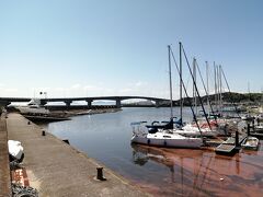 形原漁港に出た。赤潮発生中？
形原漁港大橋がばっちり見えます。