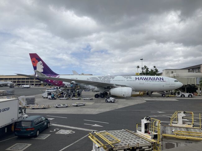 22 5 2 5日で行くハワイ3 ハワイアン航空搭乗記 復路 ホノルルのpcrは15分 成田到着 やっぱり日本のお役所なのね ホノルル ハワイ の旅行記 ブログ By Azさん フォートラベル