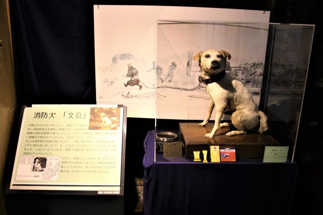 運河の街小樽で消防犬ぶん公の剥製と銅像に初逢瀬 小樽 北海道 の旅行記 ブログ By 吉備津彦さん フォートラベル