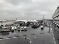 雨の出発は残念だなあ、なんて思っていたらラウンジで見たイケメンが同じ飛行機！しかも同じ列！！
がしかし、逆サイド！！！
行先まで同じなんて玉砕覚悟で人生初のナンパすべきか？！なんて考えてたら瞬く間に伊丹空港到着。