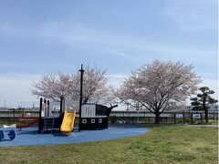 三渓園近隣の駐車場に車を停めて、スマホを頼りに三渓園に向かって歩いたらまずはこんな公園がありました。ここも桜が綺麗・・
