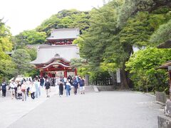 ご存じ、鶴岡八幡宮
https://www.hachimangu.or.jp/

おや、思いのほか人が少ない。

参拝していくかとも思ったが、大河ドラマが終わったころにお邪魔させていただくことに。