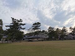 人が少なくなった夕方に奈良公園まで来ました

電車で一駅ホテルから２０分ぐらいです