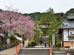 続いて「花の御寺（みてら）」と呼ばれる長谷寺にやってきました。
1年を通じて時折々の花が咲いているそうです。
室生寺からは車で30分くらいだったと思います。
ここは無料駐車場が見つからず、近くの有料駐車場にとめました。（500円）