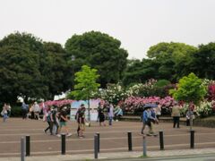 「港の見える丘公園」が見えてきました。