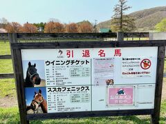 余生を幸せに送ってね
（競馬は詳しくないですが、ソダシちゃんは白くて強くて可愛い尊い）