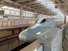新幹線で熊本へ。