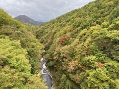 橋からみる「中津川渓谷」