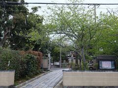 妙福寺


1314年に創建された、銚子駅近くの古いお寺に寄りました。
聖徳太子が作った(!)と伝えられる妙見菩薩が祀られている由緒あるお寺に、なんと樹齢700年の藤があるというのを聞いて、雨続きの予報でも花盛りの季節は逃せないと銚子にやって来たわけです。

