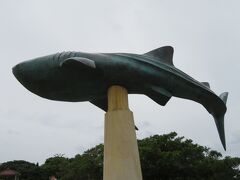 海洋博公園に行くと、ジンベエザメのモニュメントが出迎えてくれた。
１６時以降に入館すると、少し安くなるのだ。