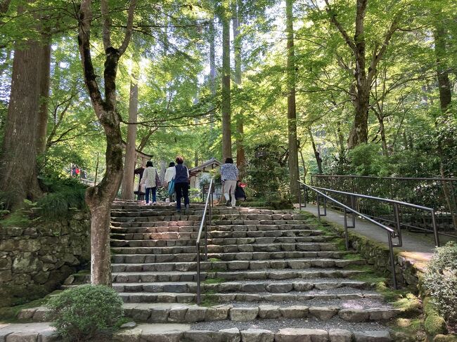 コレクション 三千院 ベビーカー