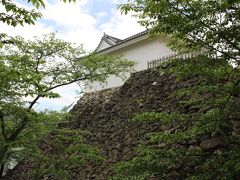 そして近くの、亀山城跡へ・・
1265年関実忠公によって若山に築城されたのが、現在の位置に移されたそうです。