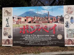2月23日は東京国立博物館で特別展「ポンペイ」を鑑賞。