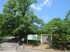 城山公園展望台