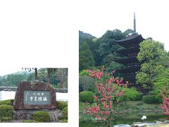 香山(こうざん)公園内にある、「国宝　瑠璃光寺五重塔」

五重塔の美しさでは、日本三名塔の一つに挙げられているとか。

因みに後の二基は、奈良県の法隆寺、京都府の醍醐寺とのこと。