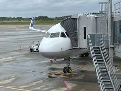 秋田空港到着！
機内アナウンスによるとどうやら到着ちょい前まで小雨が降っていたらしい。
現在の天気は曇り。