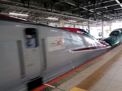 仙台空港から仙台駅へ来ました。

仙台駅から新幹線で一ノ関まで行くのですが、仙台空港では新幹線の切符は買えません。そのため、仙台駅までの切符をまずは購入。
仙台駅で一ノ関までの新幹線の切符を購入したら、名取から仙台駅までのJRの乗車分の料金が差し引かれ、さらに、その後、盛岡まで行く切符も購入しようとしたら、乗車券は名取→盛岡まで購入し、特急券は名取→仙台と仙台→盛岡で購入すると少しだけ乗車券の料金が安くなります、と教えてくれた。親切な駅員さんに感謝。