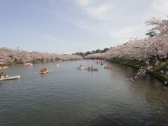 西豪の桜なみき。