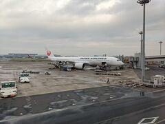 2022年5月7日(土)
JAL505 羽田8:20発で札幌・新千歳へ。
JALに乗り始めてから毎回思うのだが、座席の設備はANAよりも利用者のことを考えた作りになっていると感じる。