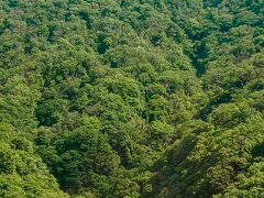 出山信号所から早川橋梁（奥）、塔ノ澤橋（手前）を撮影したものです(^^)

車内から撮影しているから難しい…(-_-;)