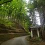 ☆美人の湯☆新緑の別所温泉2泊3日の旅【2】旅館花屋編