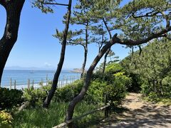 公園の前に広がる一色海岸、遠くに見えるのは富士山