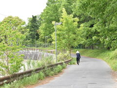 古墳をぐるりと回りました。ここがお散歩コースなひと、羨ましいな。