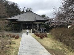 了仙寺。幕府とペリーとの間で下田条約が結ばれた地、桜が満開でした。