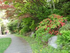 その天神山のある
天神山緑地内には

日本庭園、桜林、
札幌市内を望める展望広場も。