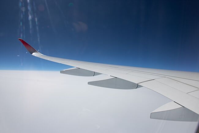 金曜日の午後の便を利用したのですが<br />まさかのほぼ満席！<br />修学旅行やツアー客が多かったみたいです。<br />旅行を楽しめるようになって良かったですね～。