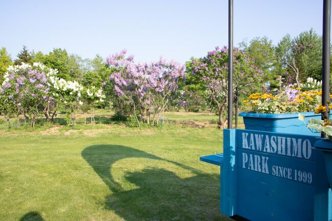 園内には映える写真撮影スポットが設えられていました。<br />前に来た時はこんなの無かったなぁ。<br />数年でSNSの流行りも変化しましたね。