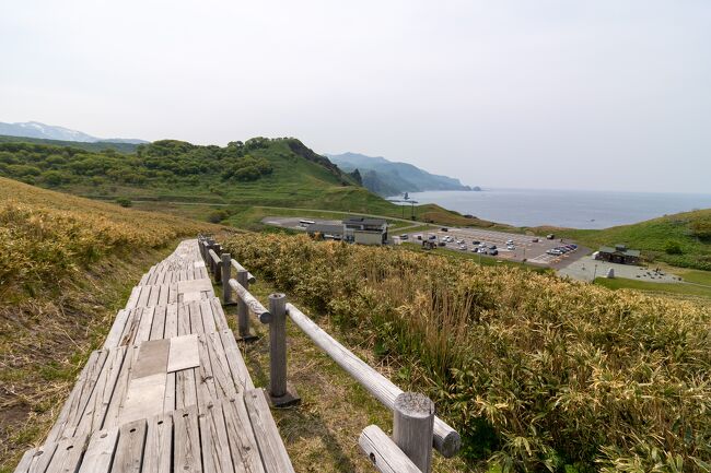 ツアー客が多くてちょっとビビる。<br />皆さんは岬に向かって歩き出しましたが<br />私はまずは展望台に登ってみることに。<br /><br />眼下には駐車場と遠くの岬が見えます。<br />「北の最果て」感が凄いです。